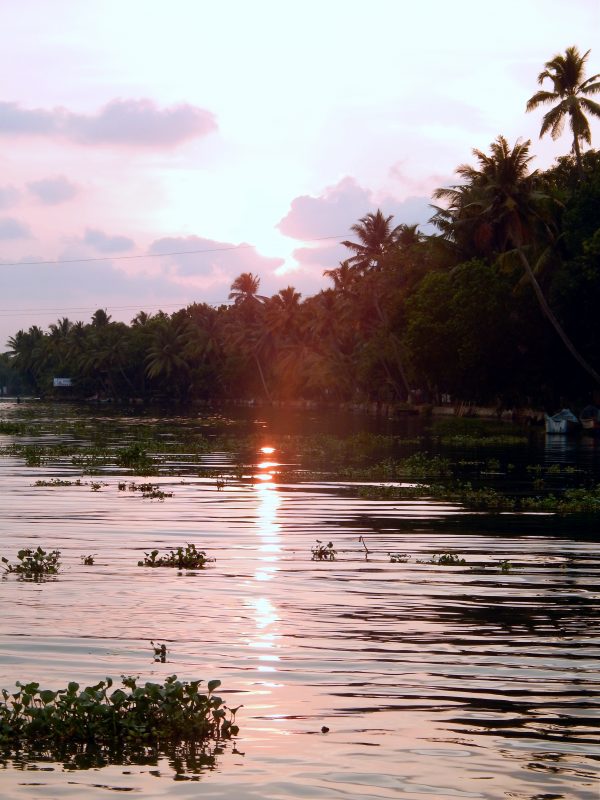 Le backwaters del Kerala, India